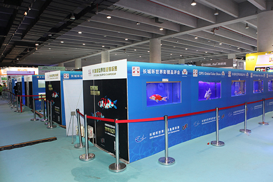 1603869757395779.jpg 1.jpg