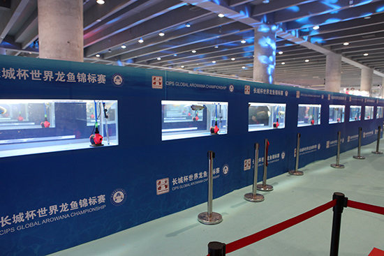 1603869796942013.jpg 8.jpg