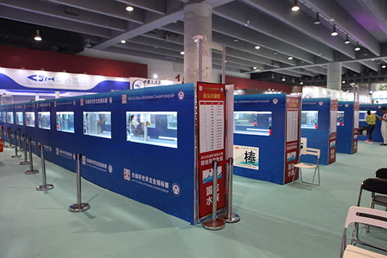 1603869800538320.jpg 9.jpg