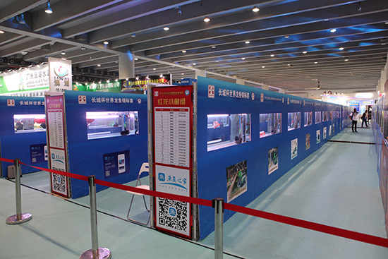 1603869811805043.jpg 11.jpg