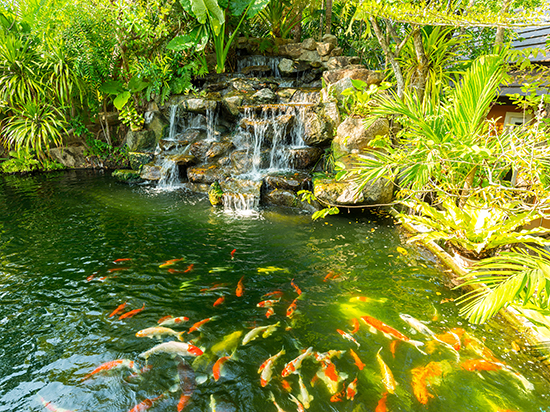 1603937402590585.jpg 00.jpg