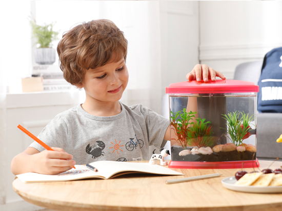 1604138337577560.jpg 未標題-2.jpg