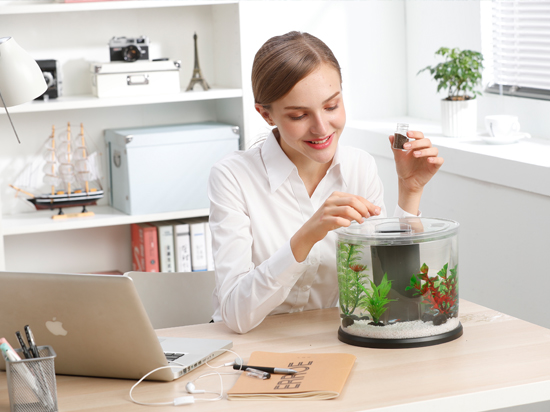 1604138405970072.jpg 未標題-2.jpg