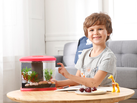 1604211147988651.jpg 未標(biāo)題-2.jpg