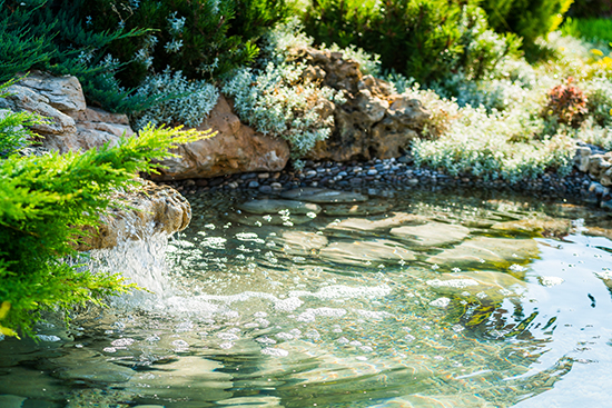 1604569533864818.jpg 03.jpg