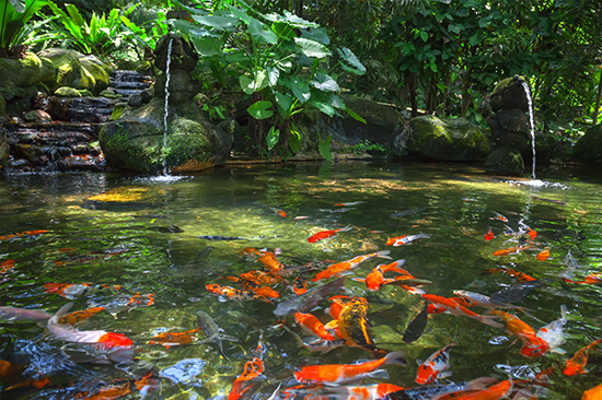 1604644205611862.jpg 02.jpg