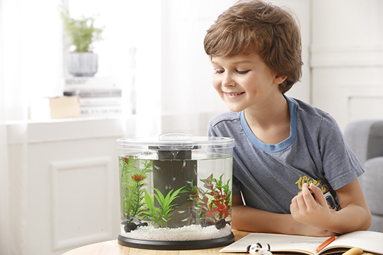 1604645538280681.jpg 06.jpg