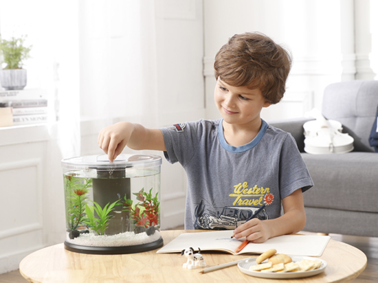 1604658868291478.jpg 4.jpg