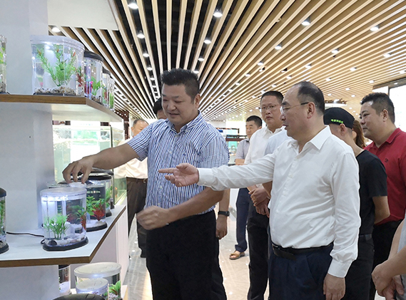 1705711065859461.jpg 1603867858825940.jpg